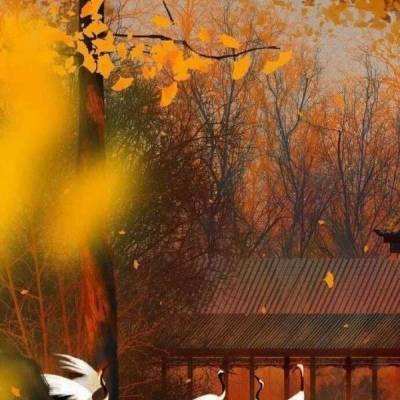 北京市文旅局：除故宫国博等，北京旅游景区全面取消预约